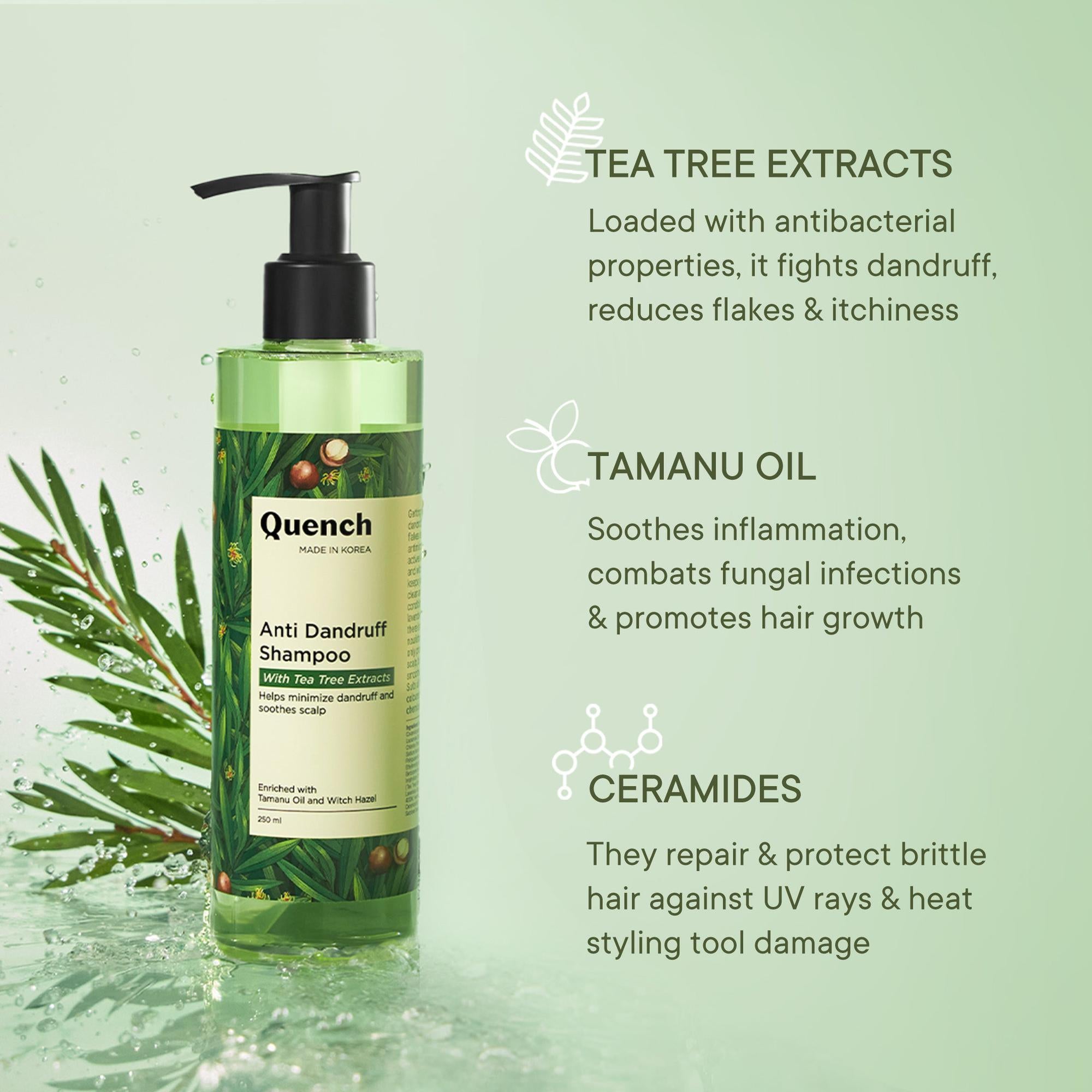 Anti Dandruff Shampoo with Tea Tree Extracts - 250 ML